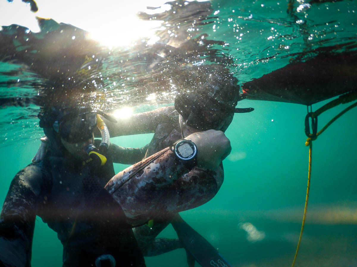 Kurz Freedivingu - Foto - Kurzisti po kurze oslavujú prvé osobné rekordy.
